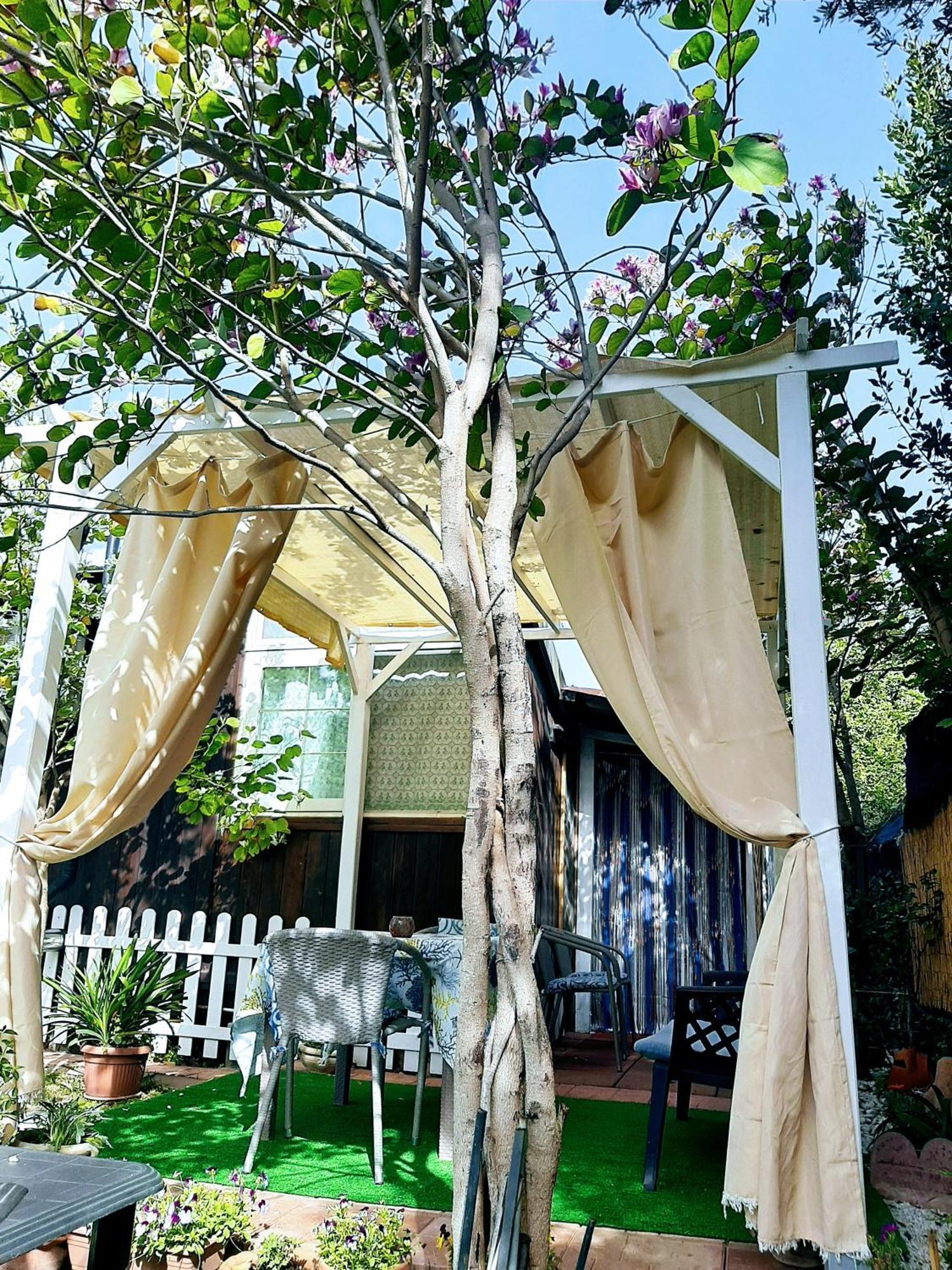 Tom E Jerry Bed & Breakfast Domus De Maria Eksteriør bilde